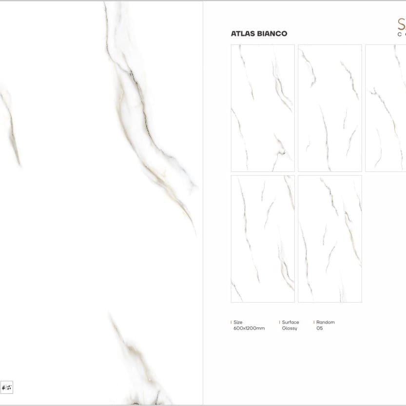 IMG-20250915-WA0024 600*1200 Glazed Vitrified Tiles