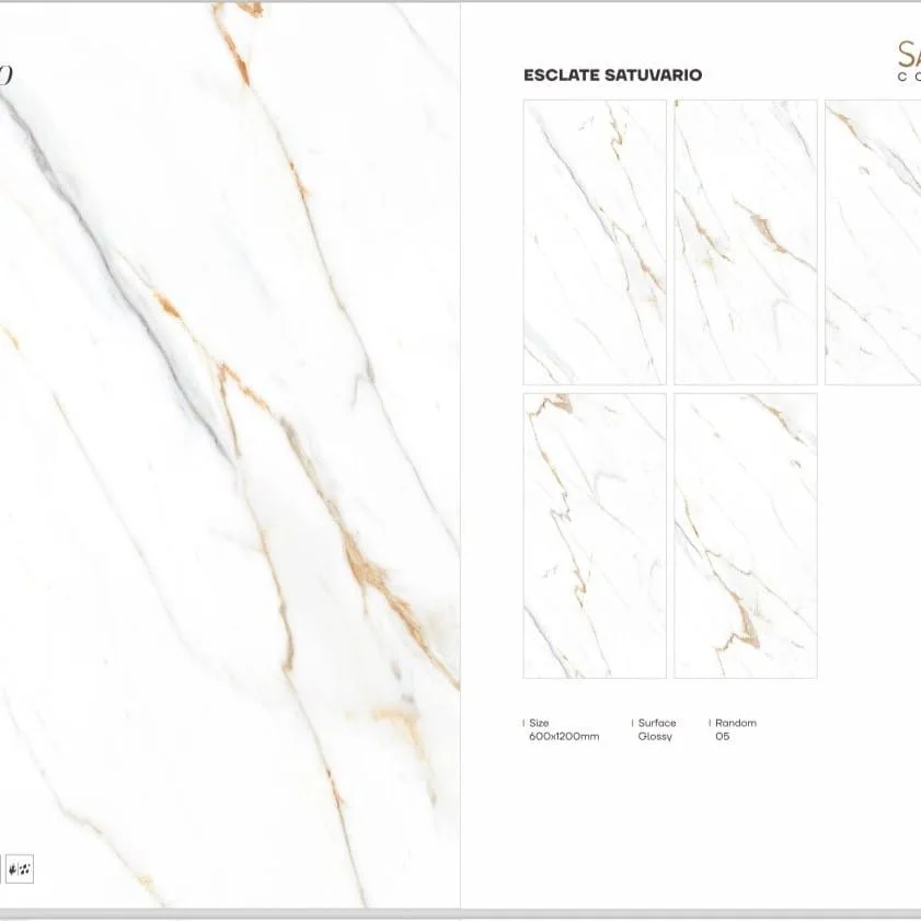 600*1200 Glazed Vitrified Tiles