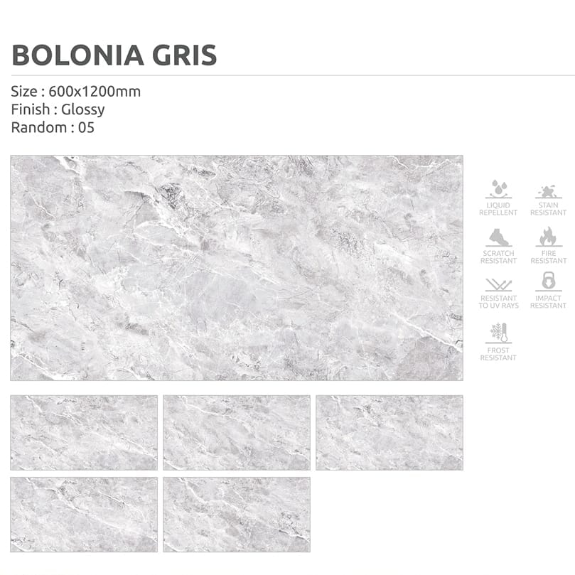 IMG-20250915-WA0100 600*1200 Glazed Vitrified Tiles