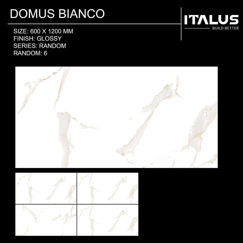 IMG-20250915-WA0152 600*1200 Glazed Vitrified Tiles