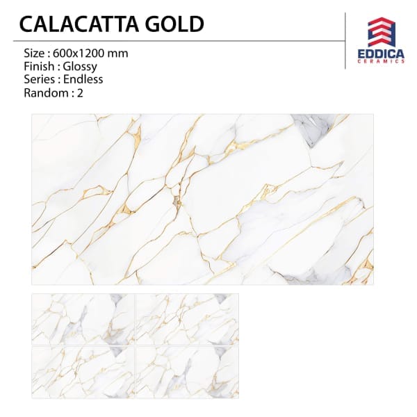 IMG-20250915-WA0165 600*1200 Glazed Vitrified Tiles