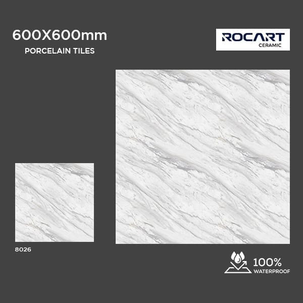 600*600 Matte Tiles