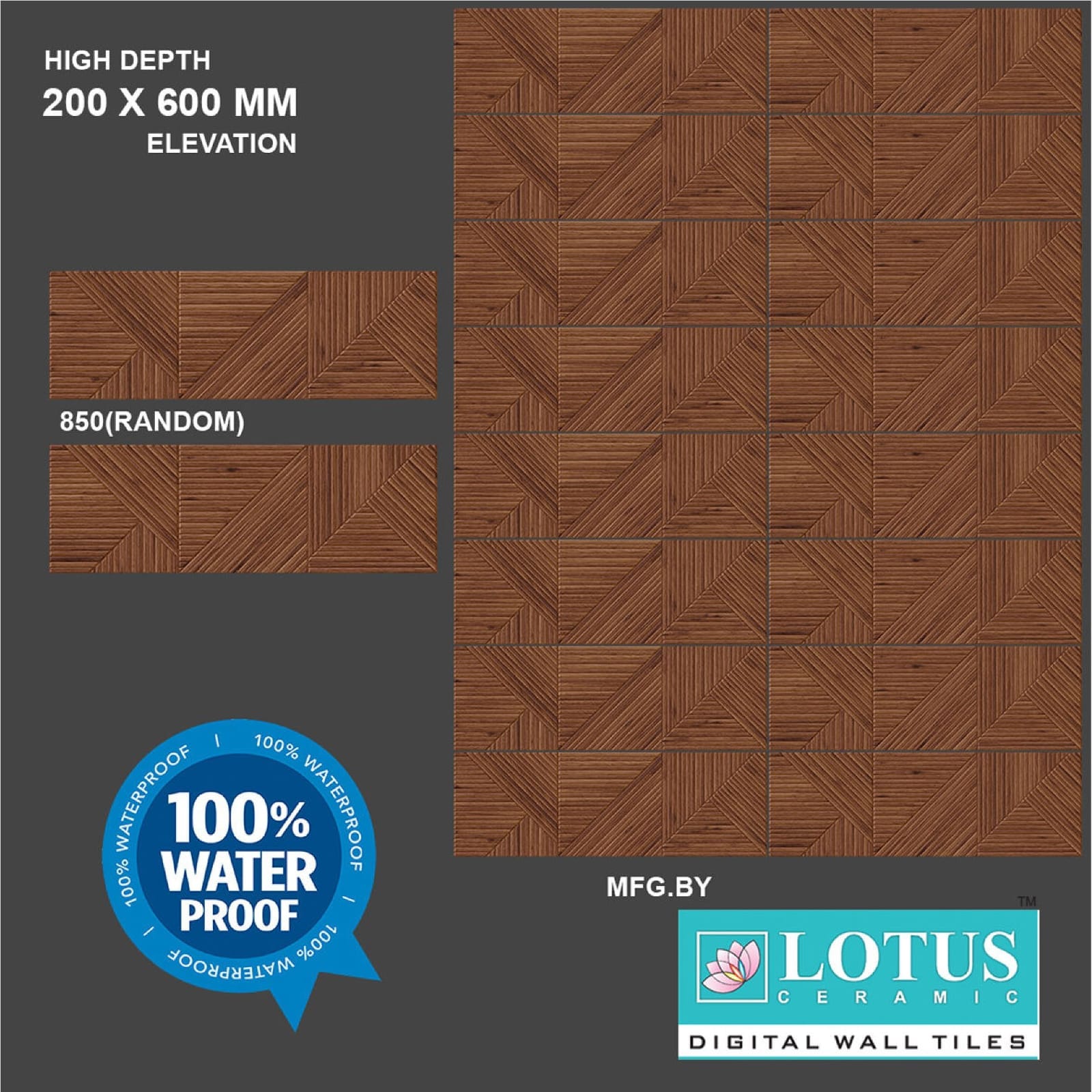 Wall Tile 8*24