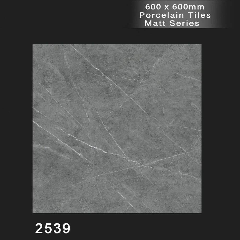 Porcerlain Tile 24*24