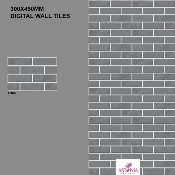 Elevation Tile 12*18